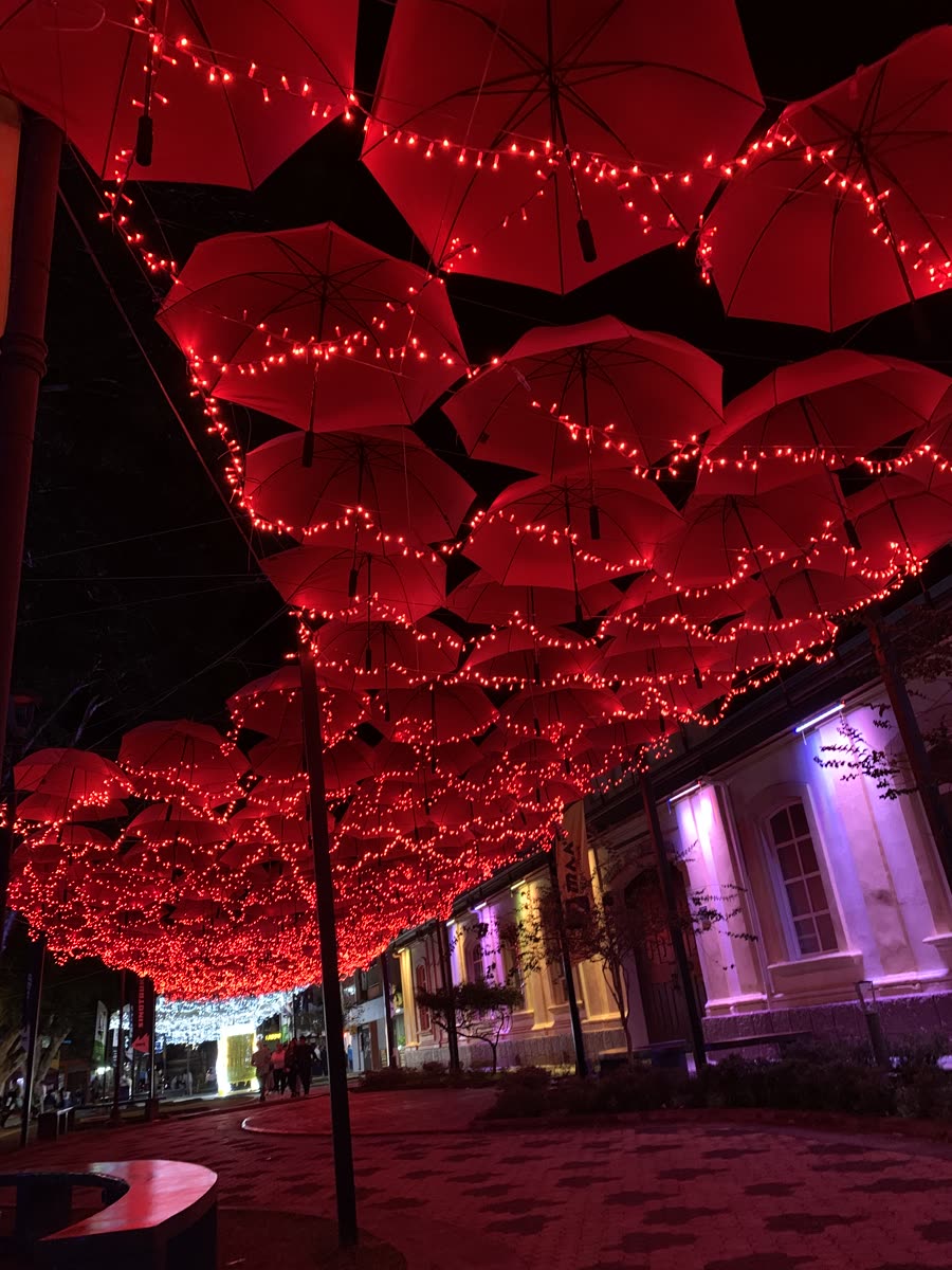 Christmas lights under the umbrellas
